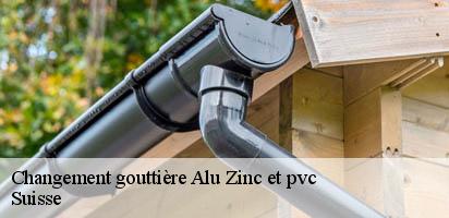 Changement gouttière Alu Zinc et pvc LE Suisse  MD Couverture Zingueur