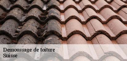 demoussage-de-toiture