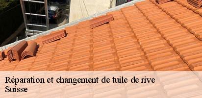 Réparation et changement de tuile de rive  LE Suisse  MD Couverture Zingueur