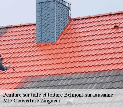 Peinture sur tuile et toiture  belmont-sur-lausanne-1092 MD Couverture Zingueur