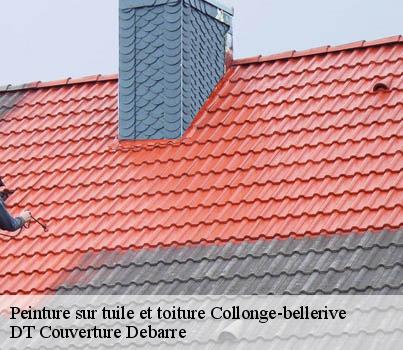 peinture-sur-tuile-et-toiture