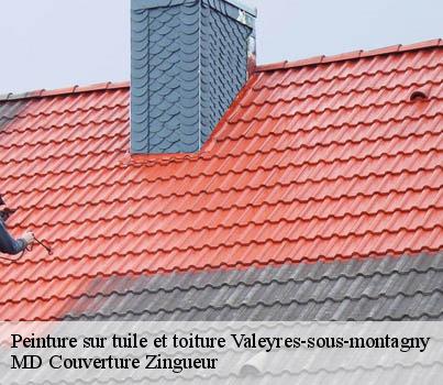 Peinture sur tuile et toiture  valeyres-sous-montagny-1441 MD Couverture Zingueur