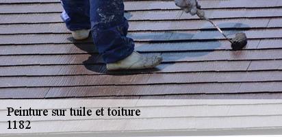 Peinture sur tuile et toiture  gilly-1182 MD Couverture Zingueur