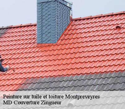 Peinture sur tuile et toiture  montpreveyres-1081 MD Couverture Zingueur