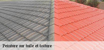 Peinture sur tuile et toiture  montpreveyres-1081 MD Couverture Zingueur