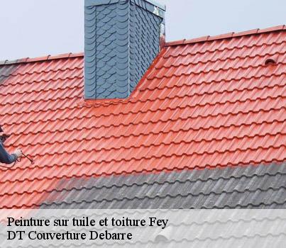peinture-sur-tuile-et-toiture