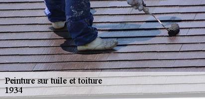 Peinture sur tuile et toiture  villette-1934 MD Couverture Zingueur