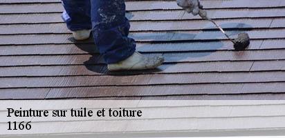 Peinture sur tuile et toiture  perroy-1166 MD Couverture Zingueur