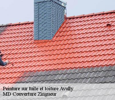 Peinture sur tuile et toiture  avully-1237 MD Couverture Zingueur