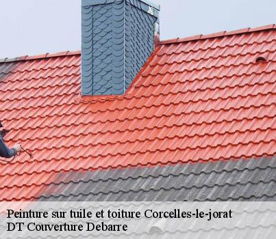 peinture-sur-tuile-et-toiture