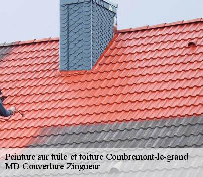 Peinture sur tuile et toiture  combremont-le-grand-1535 MD Couverture Zingueur