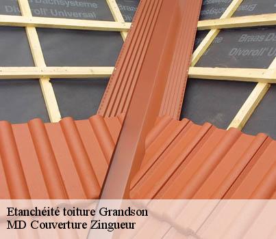 Etanchéité toiture  grandson-1422 MD Couverture Zingueur