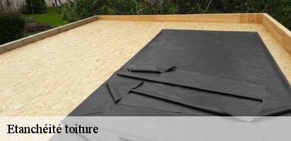 Etanchéité toiture  chevroux-1545 MD Couverture Zingueur