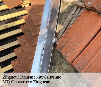 Zingueur  romanel-sur-lausanne-1032 MD Couverture Zingueur