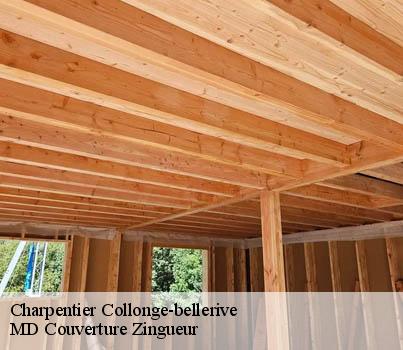Charpentier  collonge-bellerive-1245 MD Couverture Zingueur