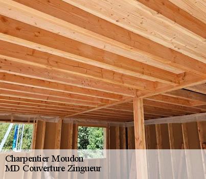 Charpentier  moudon-1510 MD Couverture Zingueur