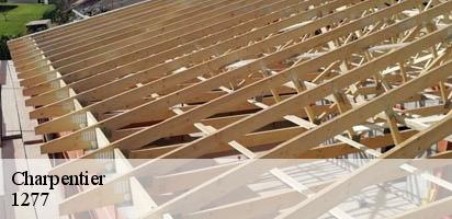 Charpentier  borex-1277 MD Couverture Zingueur