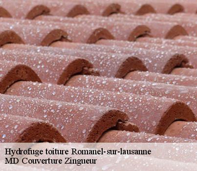 Hydrofuge toiture  romanel-sur-lausanne-1032 MD Couverture Zingueur