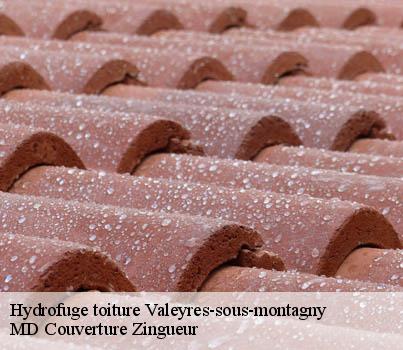 Hydrofuge toiture  valeyres-sous-montagny-1441 MD Couverture Zingueur