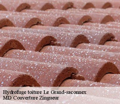 Hydrofuge toiture  le-grand-saconnex-1218 MD Couverture Zingueur