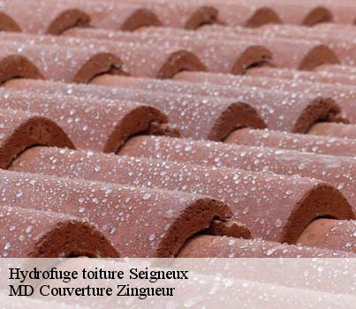 Hydrofuge toiture  seigneux-1525 MD Couverture Zingueur