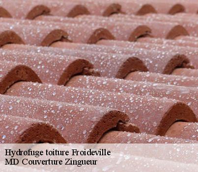 Hydrofuge toiture  froideville-1055 MD Couverture Zingueur