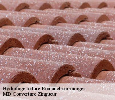 Hydrofuge toiture  romanel-sur-morges-1122 MD Couverture Zingueur