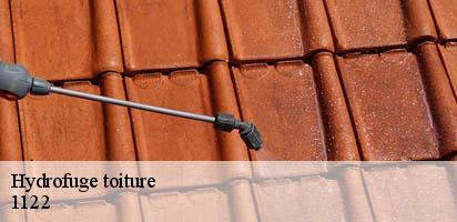 Hydrofuge toiture  romanel-sur-morges-1122 MD Couverture Zingueur