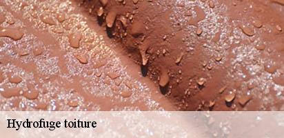 Hydrofuge toiture  montpreveyres-1081 MD Couverture Zingueur