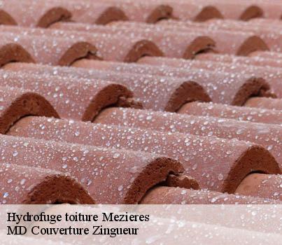 Hydrofuge toiture  mezieres-1684 MD Couverture Zingueur