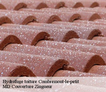 Hydrofuge toiture  combremont-le-petit-1536 MD Couverture Zingueur