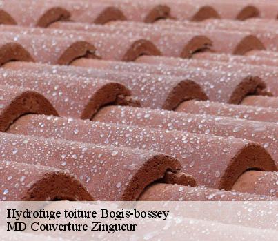 Hydrofuge toiture  bogis-bossey-1279 MD Couverture Zingueur
