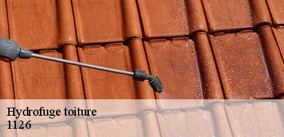 Hydrofuge toiture  vaux-sur-morges-1126 MD Couverture Zingueur