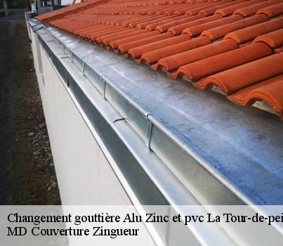Changement gouttière Alu Zinc et pvc  la-tour-de-peilz-1814 MD Couverture Zingueur
