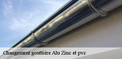 Changement gouttière Alu Zinc et pvc  celigny-1298 MD Couverture Zingueur