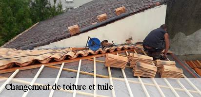 Changement de toiture et tuile  cully-1096 MD Couverture Zingueur