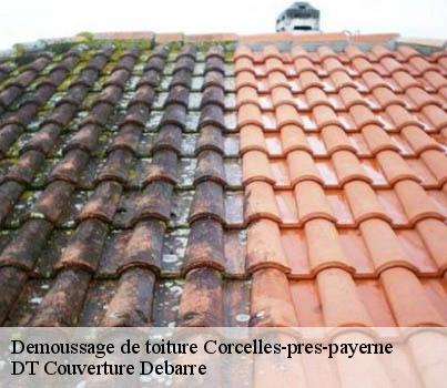 demoussage-de-toiture