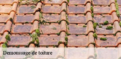 Demoussage de toiture  vuiteboeuf-1445 MD Couverture Zingueur