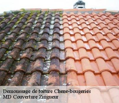 Demoussage de toiture  chene-bougeries-1224 MD Couverture Zingueur