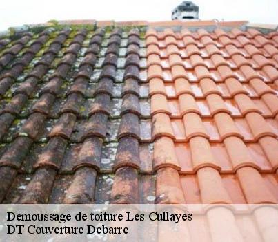 demoussage-de-toiture
