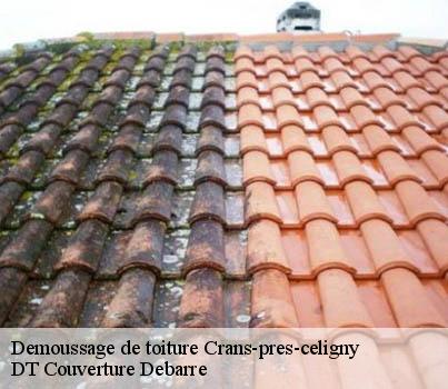 demoussage-de-toiture