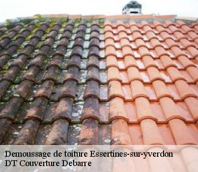 demoussage-de-toiture