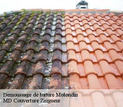 Demoussage de toiture  molondin-1415 MD Couverture Zingueur
