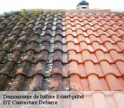demoussage-de-toiture
