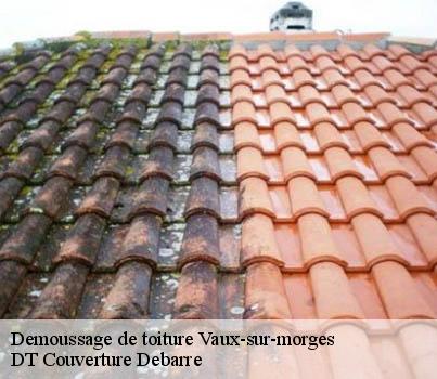demoussage-de-toiture