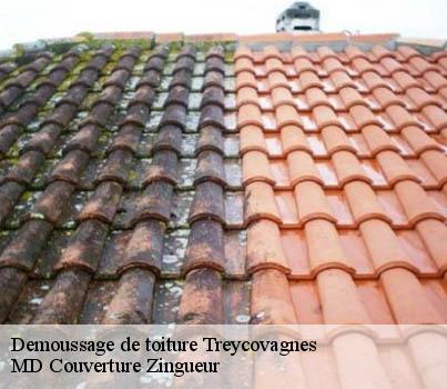 Demoussage de toiture  treycovagnes-1436 MD Couverture Zingueur