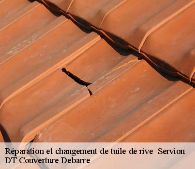 reparation-et-changement-de-tuile-de-rive