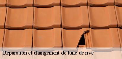 Réparation et changement de tuile de rive   servion-1077 MD Couverture Zingueur