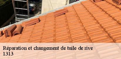 Réparation et changement de tuile de rive   ferreyres-1313 MD Couverture Zingueur