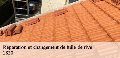 Réparation et changement de tuile de rive   veytaux-1820 MD Couverture Zingueur